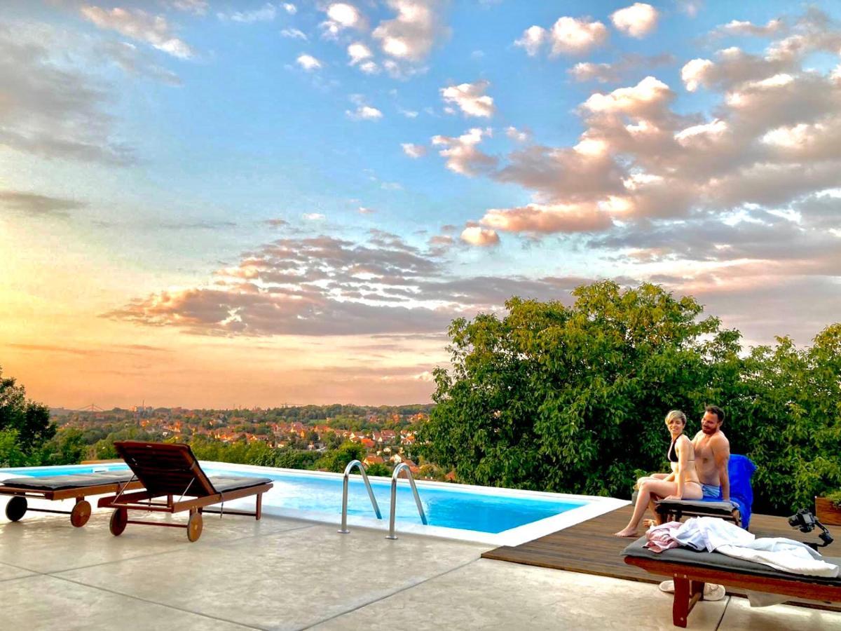 Todor Boutique House Βίλα Sremska Kamenica Εξωτερικό φωτογραφία