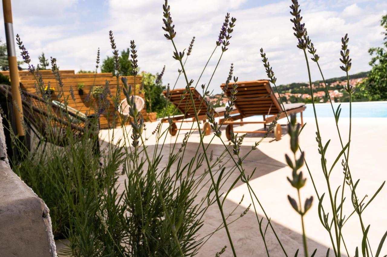 Todor Boutique House Βίλα Sremska Kamenica Εξωτερικό φωτογραφία